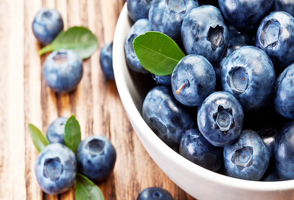 Conheça o Blueberry, a fruta que auxilia no emagrecimento