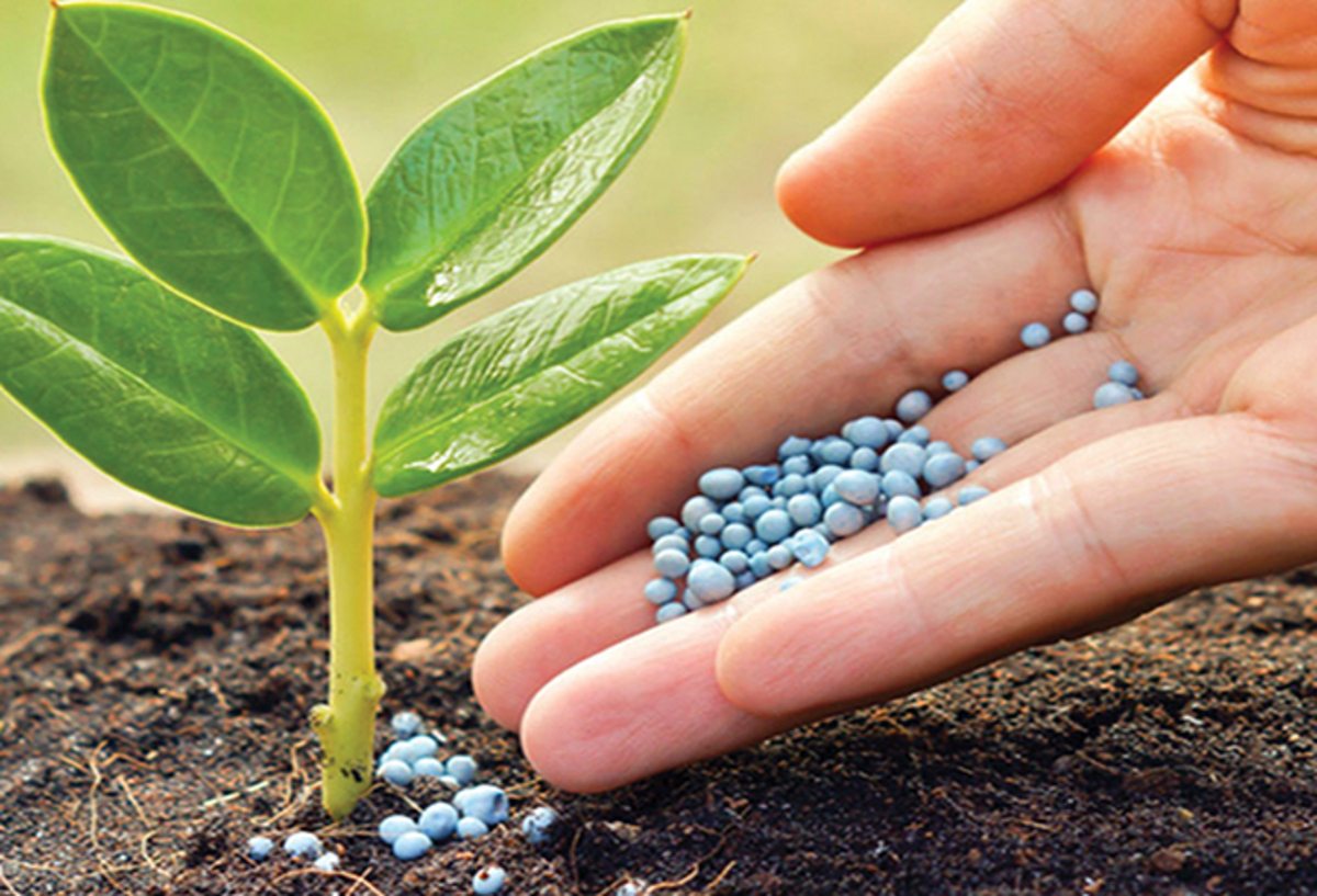 Fertilizantes: insumos fundamentais para manutenção da saúde e qualidade de vida