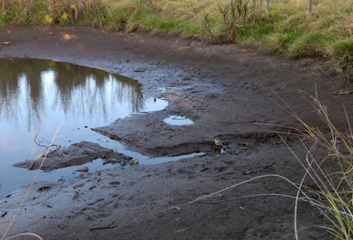 Comportas do Canal Santos Dumont serão reabertas a partir de hoje