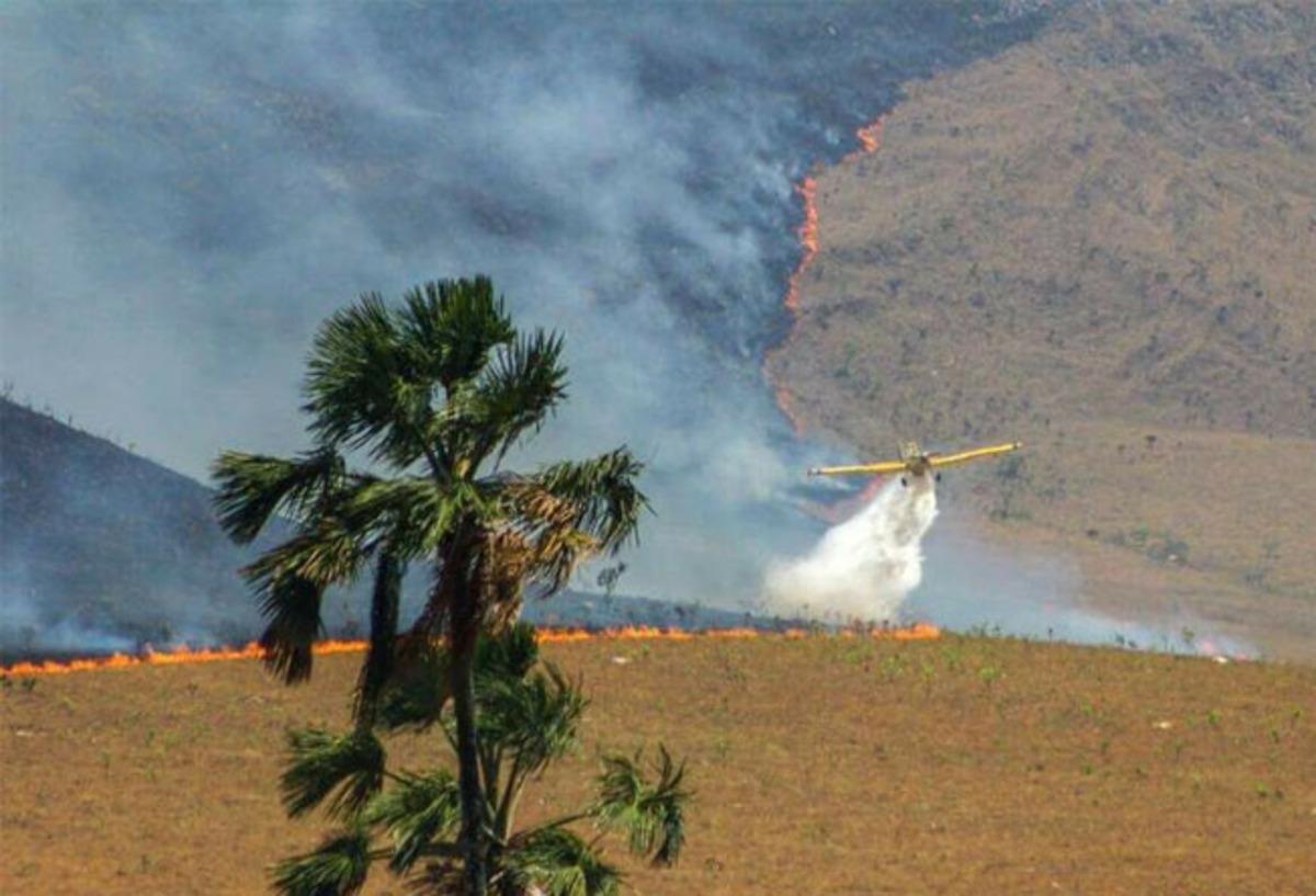 Incêndio na Chapada dos Veadeiros já é considerado o maior da história