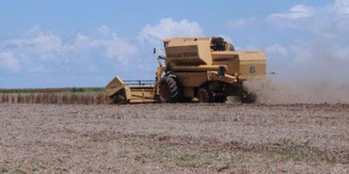 ONG internacional oferece bolsas para pesquisadores do agronegócio