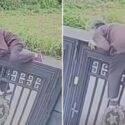 Idosa de 92 anos foge de um asilo escalando uma cerca de mais de 2 metros